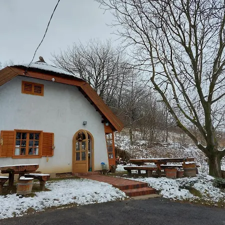 Landhaus Mit Weinkeller - Nadas Pince Szolosgyorok Exterior photo