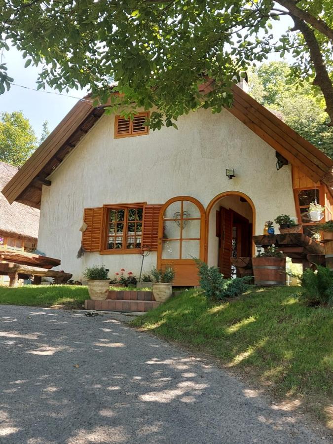Villa Mit Weinkeller - Nadas Pince *
