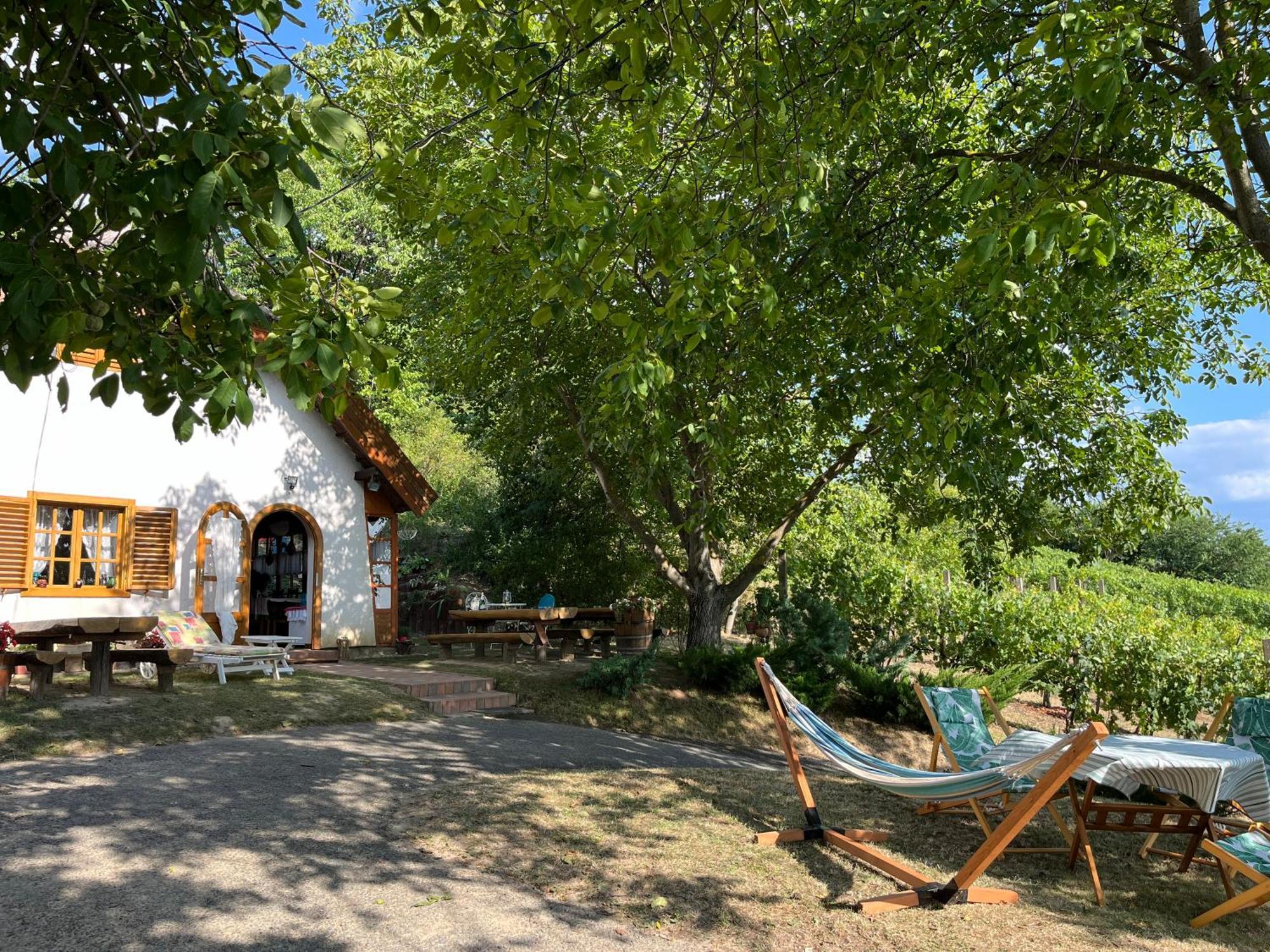 Villa Mit Weinkeller - Nadas Pince Szolosgyorok