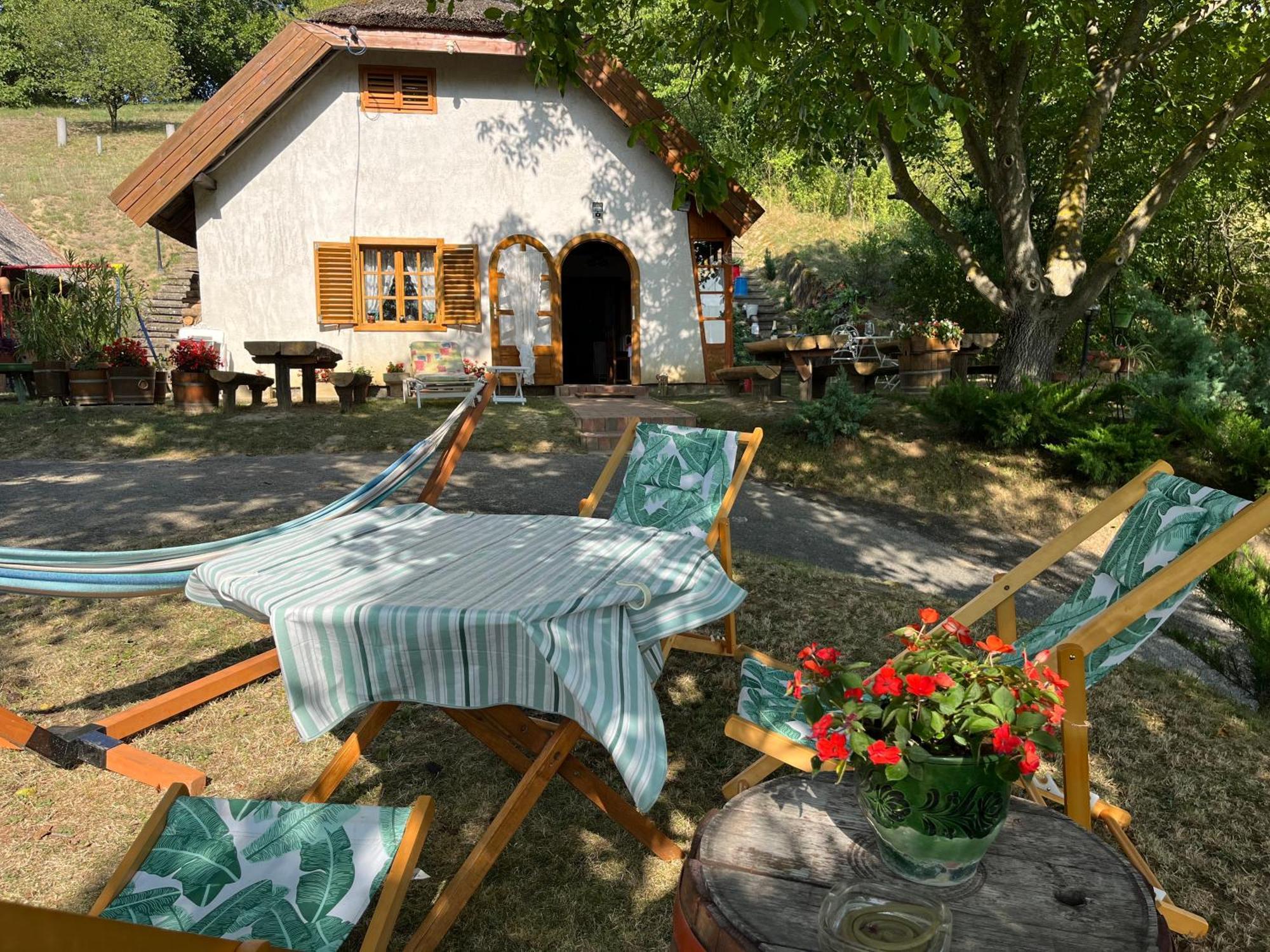 Villa Mit Weinkeller - Nadas Pince *